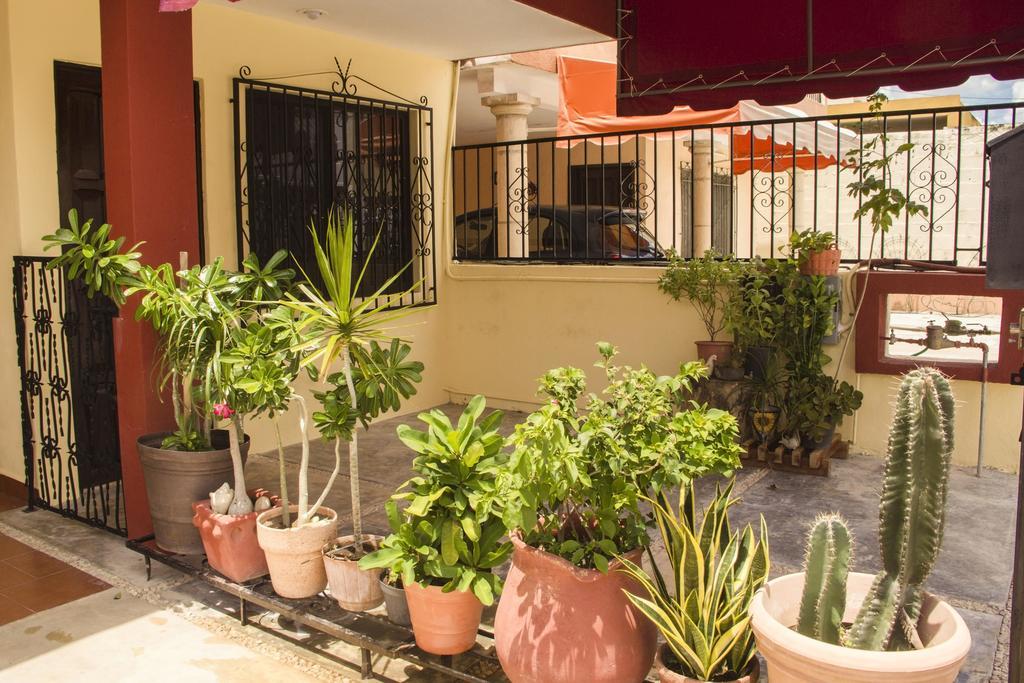 Vila La Casa Del Chac Mérida Exteriér fotografie