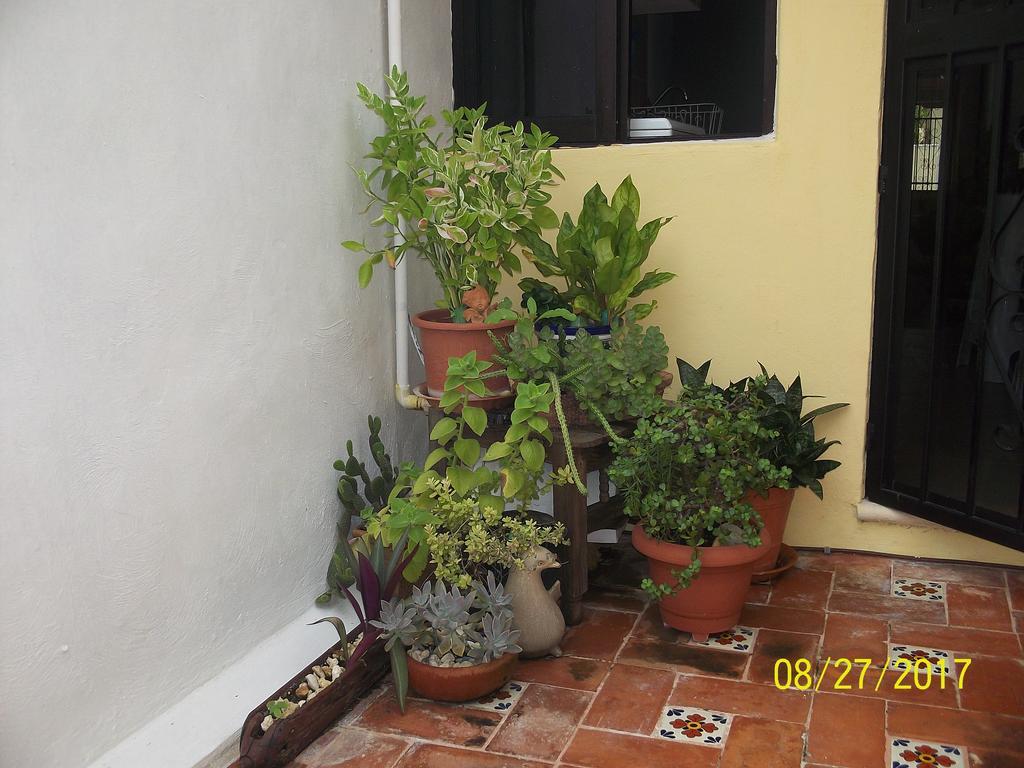 Vila La Casa Del Chac Mérida Exteriér fotografie